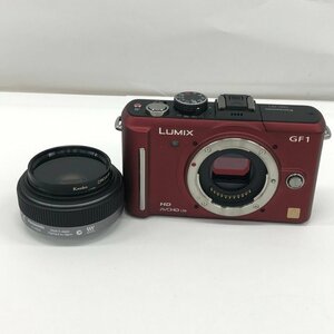 Panasonic パナソニック LUMIX DMC-GF1/H-H020 46mm【CIAC4006】