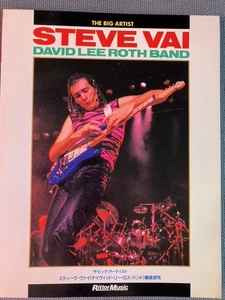 ザ・ビック・アーティスト スティーブ・ヴァイ（デイヴィッド・リー・ロス・バンド）徹底研究（STEVE VAI DAVID LEE ROTH BAND)