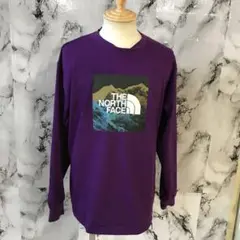 SA202H/THE NORTH FACE/長袖シャツ/L/Tシャツ/メンズ