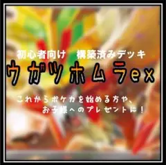 〈コンセプト〉構築済みデッキ252 ウガツホムラex