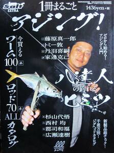 １冊まるごとアジング！八達人の釣れるヒミツ/別冊ルアーマガジンソルト2021年3月号■内外出版社