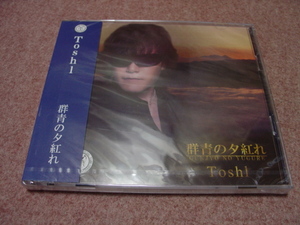 未開封CD+ライブDVD■Toshl 群青の夕紅れ■未来をEYEしてる/made in HEAVEN/X JAPAN エックスジャパン TOSHI 龍玄とし/Shinya DIR EN GREY