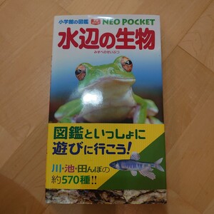 図鑑 水辺の生物 小学館の図鑑 NEO POCKET