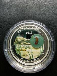 美品 記念コイン カナダ タツノオトシゴ $20銀貨 Canada 2017 20$ Under the Sea Seahorse