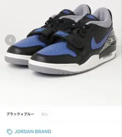 【美品】AIR JORDAN LEGACY 312 LOW CD7069-041