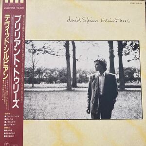 デヴィッド・シルビアン DAVID SYLVIAN / Brilliant Trees 洋楽 国内盤 リイシュー LP レコード 坂本龍一 ピーターバラカン 現代音楽 帯付 