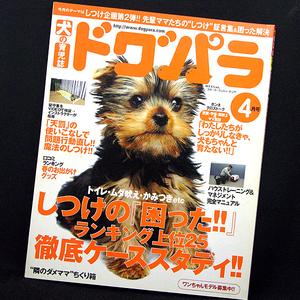 ◆ドグパラ 2006年4月号 (2006) ◆主婦の友社