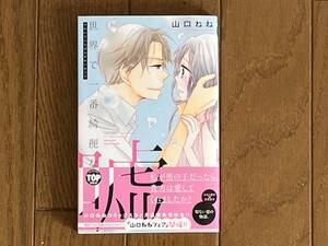 新装版 先生はオモチャ 山口ねね