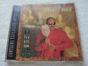 Stevie Wonder / You Will Know 4:05/ (Instrumental)4:05/Interview4:05/ angie stoneもカバーした名曲/1987/ＣＤシングル