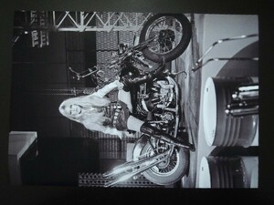 A4 額付き ポスター ブリジットバルドー Brigitte Bardot バイク ハーレー アメリカン ガール 