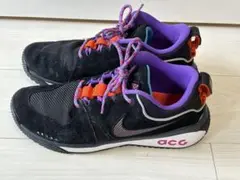 NIKE ACG DOG MOUNTAIN ナイキ ドッグマウンテン