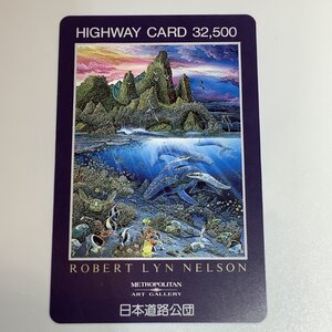 ハイウェイカード　ROBERT LYN NELSON　イラスト　絵画　山　海　深海　くじら　鯨　使用済み