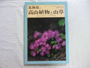 北海道の高山植物と山草　著・伊藤浩司