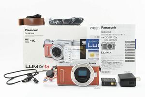 #x121★極上美品★ Panasonic パナソニック LUMIX DC-GF10 ボディ