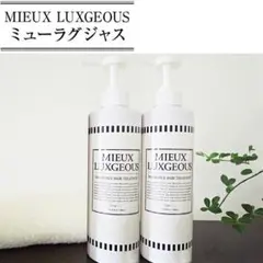 【残り2】新品 ミューラグジャス ヘアトリートメント 500ml 2本セット