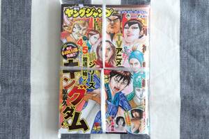 ヤングジャンプ キングダム アンスリューム 月埜ヒスイ 池上紗理依 2020.04.02 no.16/新品 未開封 未読品