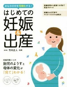 はじめての妊娠＆出産 おなかの中を可視化する！／竹内正人