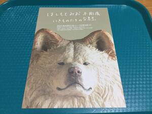 『はしもとみお 木彫展 いきものたちの交差点』展 チラシ1枚☆即決 2021年 武蔵野市立吉祥寺美術館 