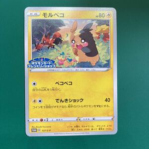 ポケモンカード ポケカ モルペコ プロモ