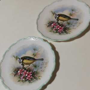 【希少！レア】ロイヤルアルバート　野鳥の絵図シジュウカラ絵　2枚セット　二枚まとめてROYAL ALBERT Bone China ENGLANDバードプレート