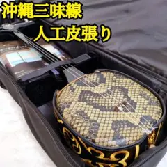 美品 沖縄三線 人工皮 蛇柄 弦楽器 琉球 黒塗り ケース付 初心者 入門モデル