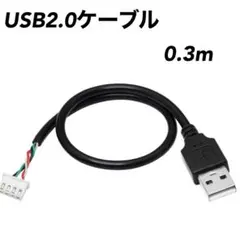 CERRXIAN usb2.0ケーブル 0.3m 4ピン XH2.54mm