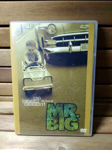 42　DVD MR.BIG グレイテスト・ビデオ・ヒッツ　洋楽　音楽