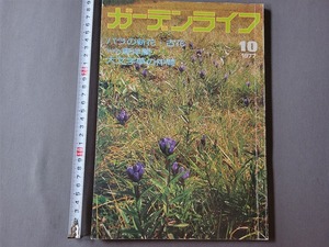 1977年10月号 ガーデンライフ　バラの新花・古花/夏から秋に咲く蘭の花 他　誠文堂新光社　雑誌　園芸　/E