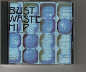 アルバム！THE BLUE HEARTS「BUST WASTE HIP」ブルーハーツ 情熱の薔薇