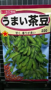 ３袋セット うまい 茶豆 種 郵便は送料無料