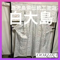 【逸品】⭐️鹿児島県伝統工芸品⭐️【白大島】⭐️泥染⭐️生糸⭐️紬⭐️着物