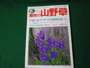 ■趣味の山野草 1997年6月号 天空の花園白山ほか 栃の葉書房■FAUB2024061115■