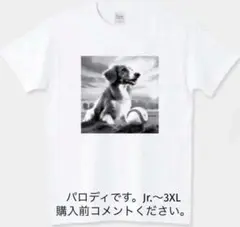 大谷翔平 Tシャツ デコピン コーイケルホンディエ LA ドジャース 愛犬 野球