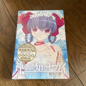 未開封品　デッドストック　倉庫保管品　単行本　神のみぞ知るセカイ　若木民喜　小学館　20巻　完全新作OVA DVD付き　特別限定版