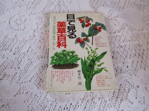 ☆目で見る　薬草百科　見分け方・採集時期・薬効と用い方　橋本竹二郎☆