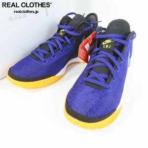 NIKE/ナイキ ZOOM LEBRON/ズームレブロン NXXT GEN EP DR8788-500/31 /100