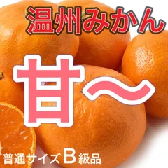 和歌山産　温州みかん　普通サイズ　B級品　5kg