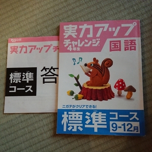 実力アップ チャレンジ ４年生 国語 9-12月 こどもちゃれんじ 進研ゼミ　問題集　ベネッセ