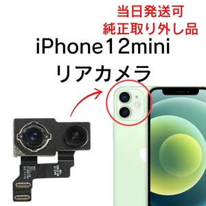 Apple 純正 取り外し品 iPhone12mini リアカメラ メイン リヤ リア バック アイフォン 交換 修理 背面 iSight カメラ 外 部品