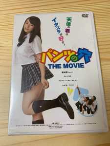 ☆即決☆ 新品未開封 DVD パンツの穴 THE MOVIE 篠崎愛 田之上賢志