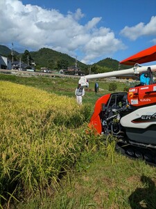 新米 京都丹波のコシヒカリ