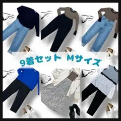 【まとめ売り】9着セット Mサイズ 秋冬 1週間コーデ ZARA YEVS