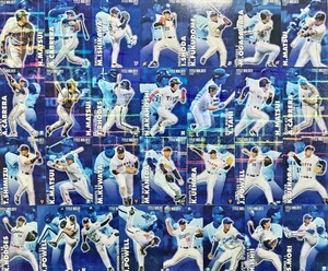 カルビー プロ野球チップス 2003 タイトルホルダーカード 29枚 コンプセット