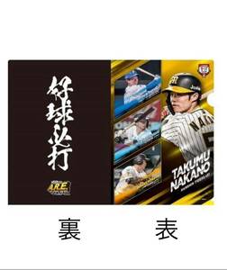  阪神タイガース 甲子園限定 交流戦クリアファイル 中野選手