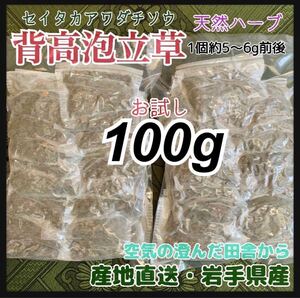 【個包装パック】【天然ハーブ入浴剤】背高泡立草　セイタカアワダチソウ100g 肌荒れ予防天然素材 天然ハーブ入浴剤 民間療法 天然由来