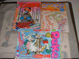 創刊号３冊★マンガ少年、ペケ、ペーパームーン別冊★手塚治虫、竹宮恵子、萩尾望都、野口正之（内山亜紀）、吾妻ひでお他