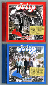 チューリップ : おいしい曲すべて1972-2006 Young Days - Mature Days (4CD)・中古美品(新品同様品)