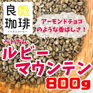 生豆 800g ベトナム アラビカ ルビーマウンテン G1 スペシャリティコーヒー 珈琲豆 コーヒー豆 自家焙煎用 beans cofe