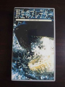 【VHS】 野生のプレデター キラー・ホエール 日本語吹替版