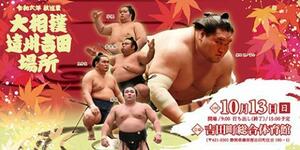 大相撲遠州吉田場所 アリーナイスS席　2枚セット